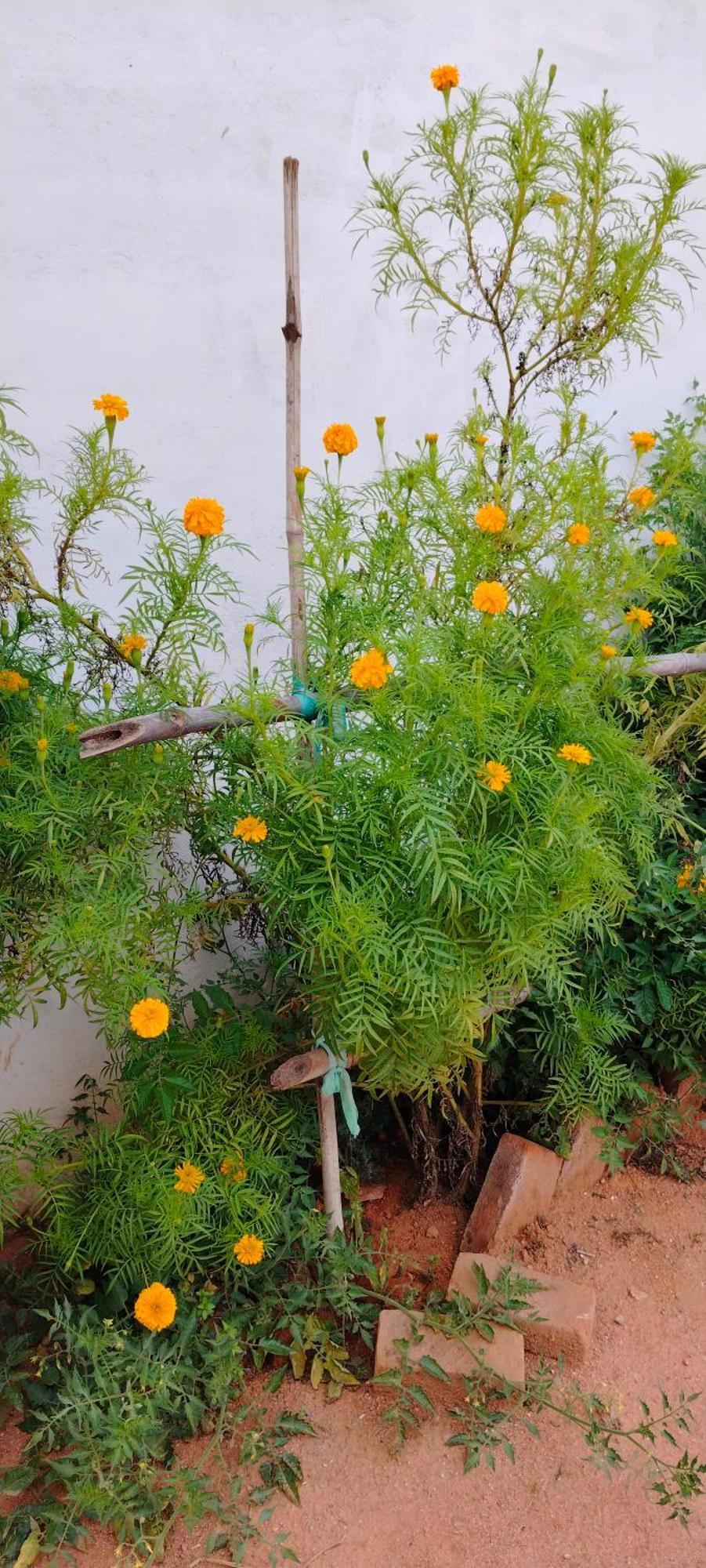 Ghura Laxmi Home Stay מראה חיצוני תמונה