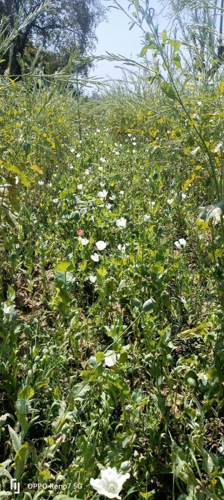 Ghura Laxmi Home Stay מראה חיצוני תמונה